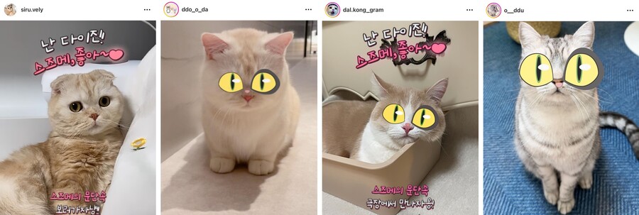 ▲ 스즈메의 문단속. 제공ㅣ로커스