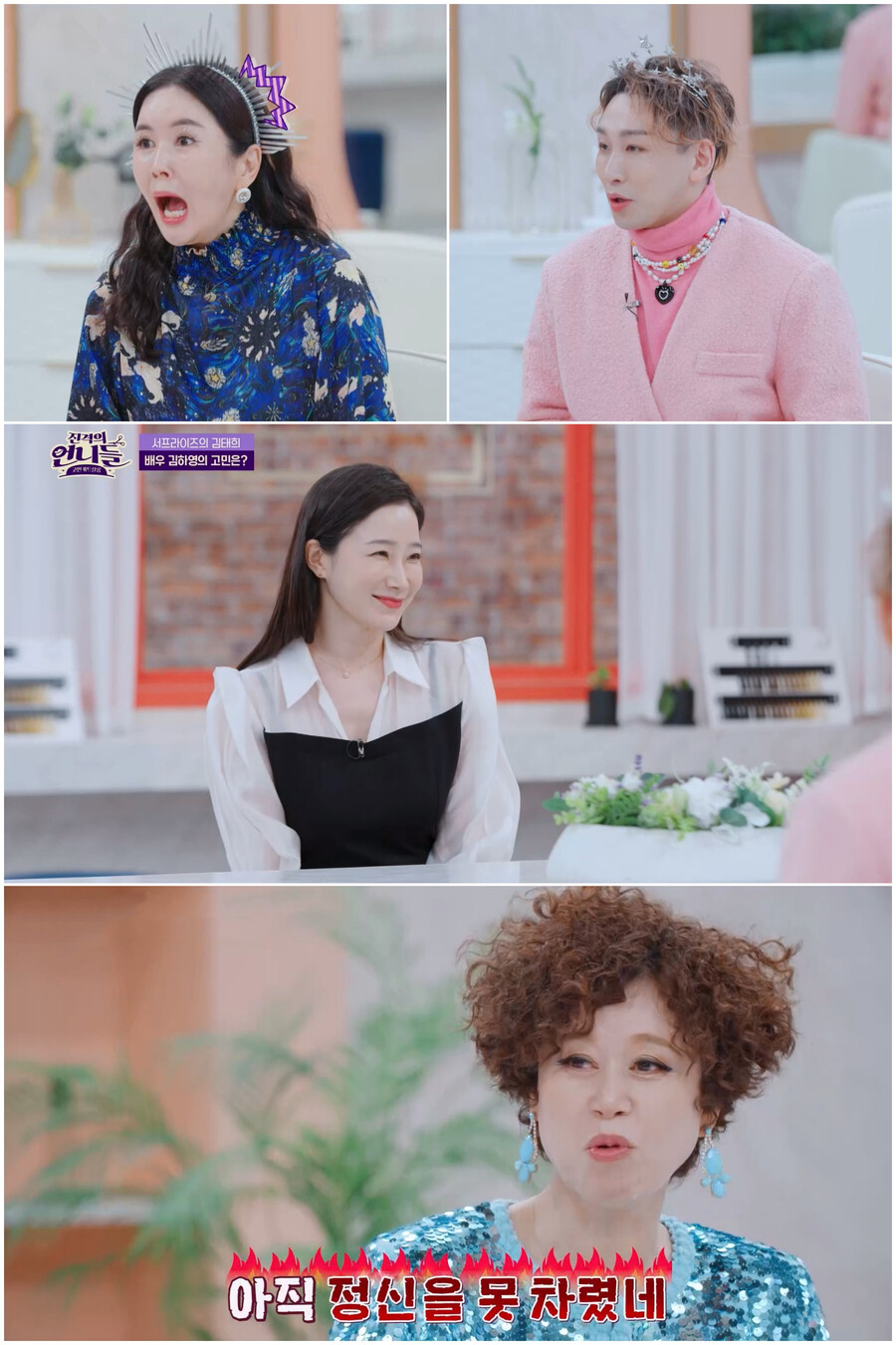 김하영 "빚이 2000만원인데…월세+반려견 4마리, 고정지출 많아"('진격의 언니들')