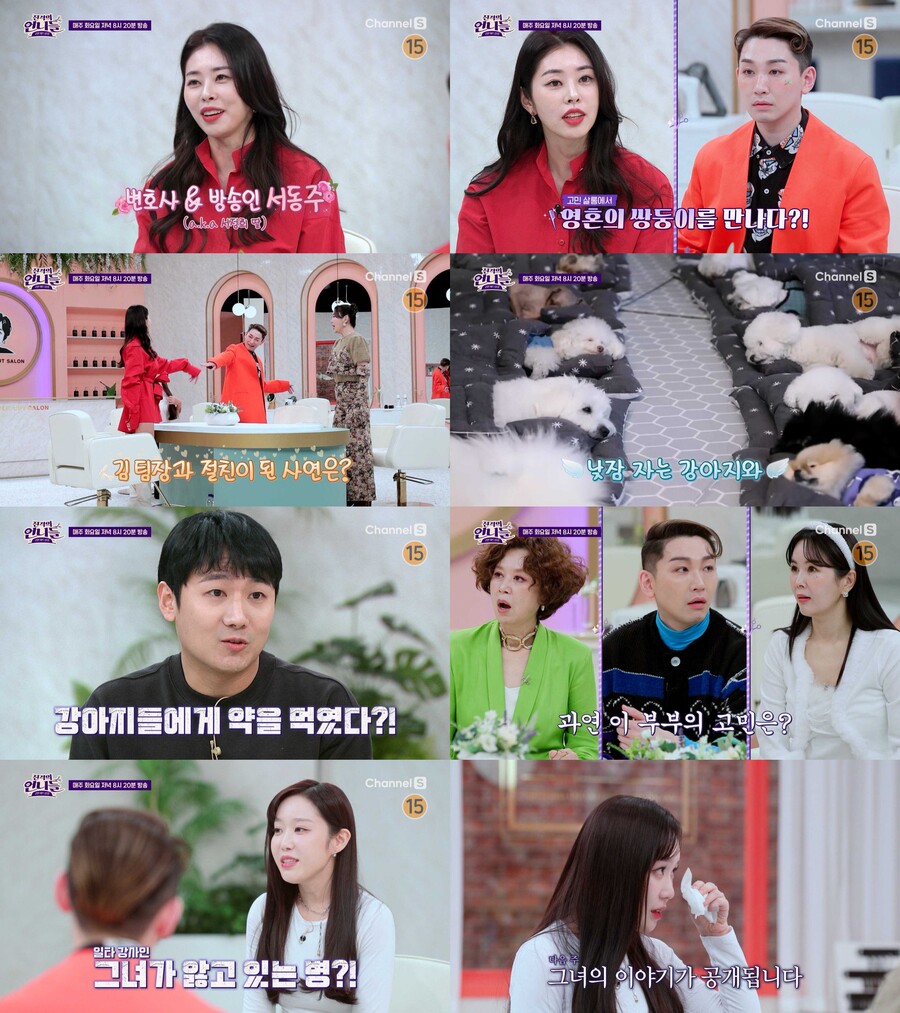 ▲ 채널S 예능 프로그램 '진격의 언니들'. 제공ㅣ채널S