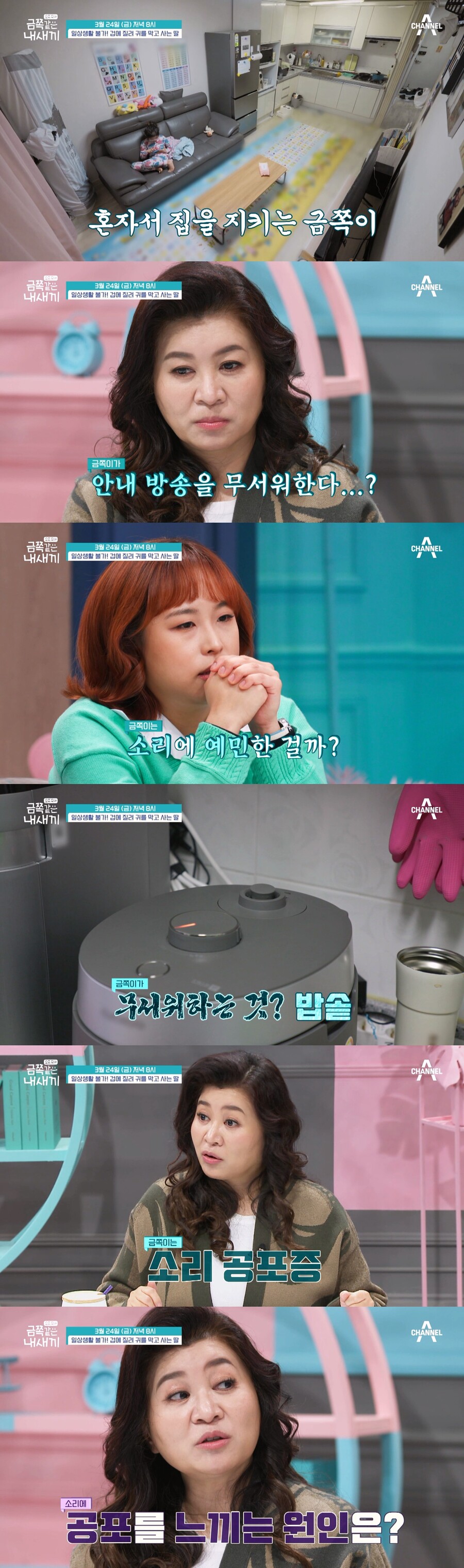 밥솥 소리에 기겁…'소리 공포증' 초2 금쪽이 등장('금쪽같은 내 새끼')