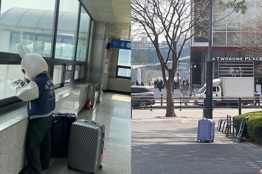 ▲ 출처ㅣ'지구오락실' 토롱이 SNS