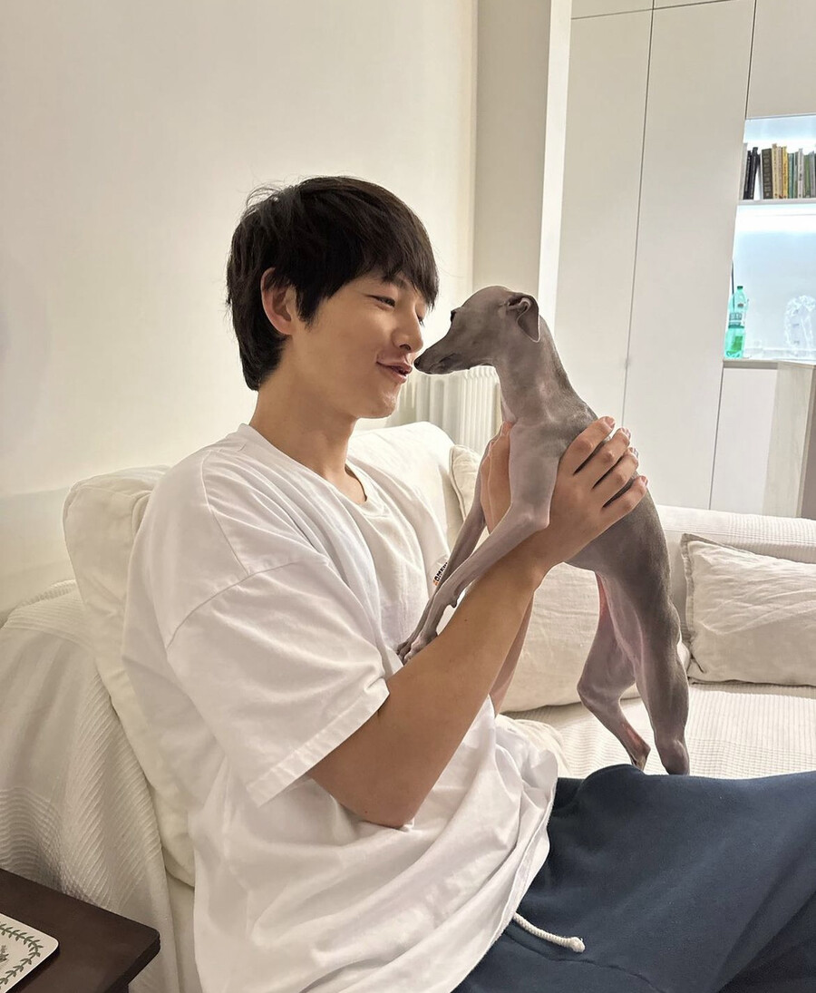 ▲ 출처| 송중기 인스타그램