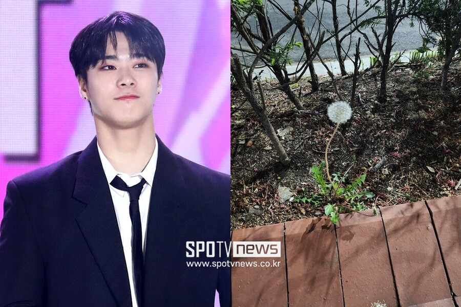 ▲ 故 문빈과 그가 생전 트위터에 남긴 민들레 꽃씨 사진.  ⓒ곽혜미 기자, 아스트로 공식 트위터