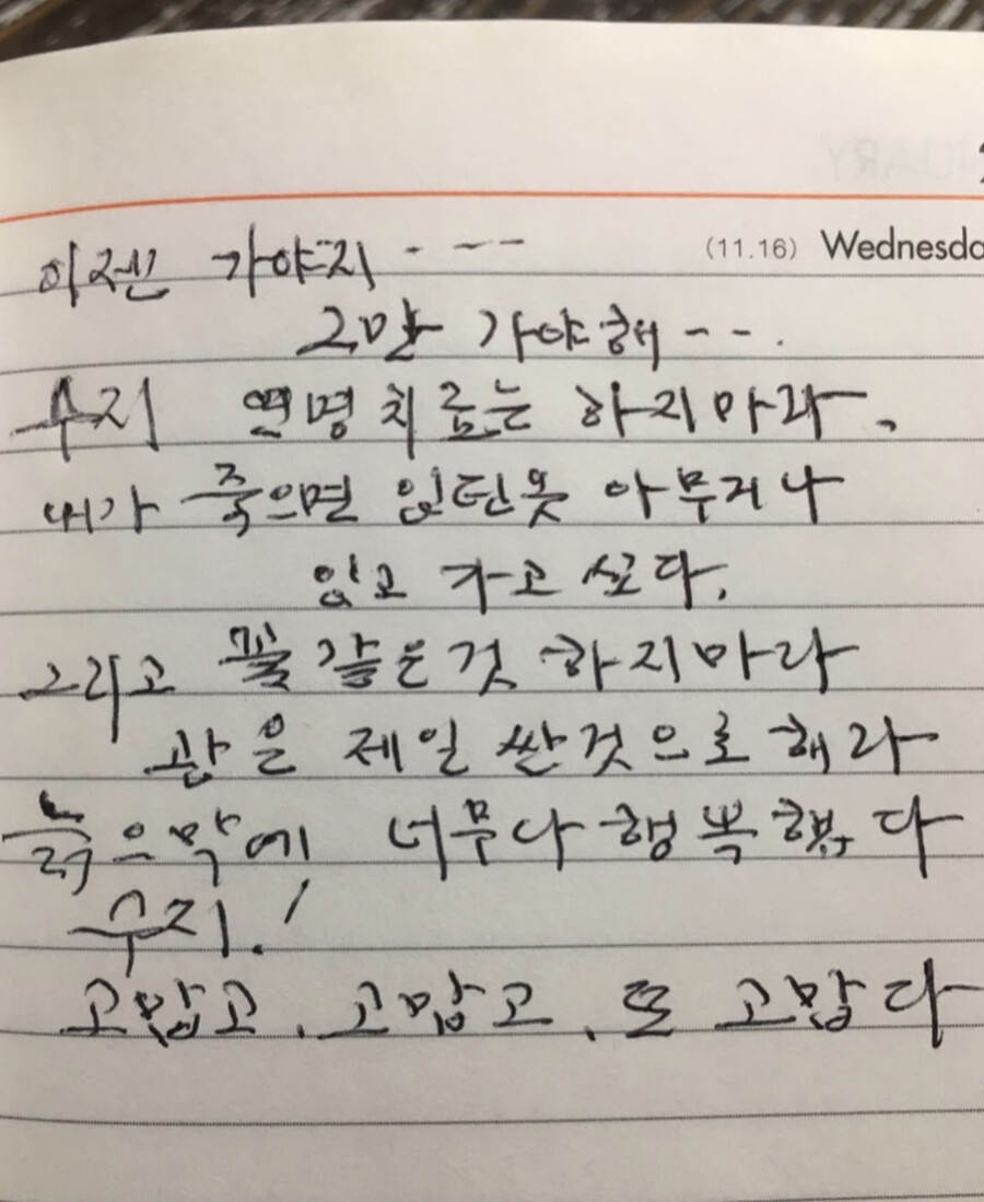 ▲ 출처| 강수지 인스타그램