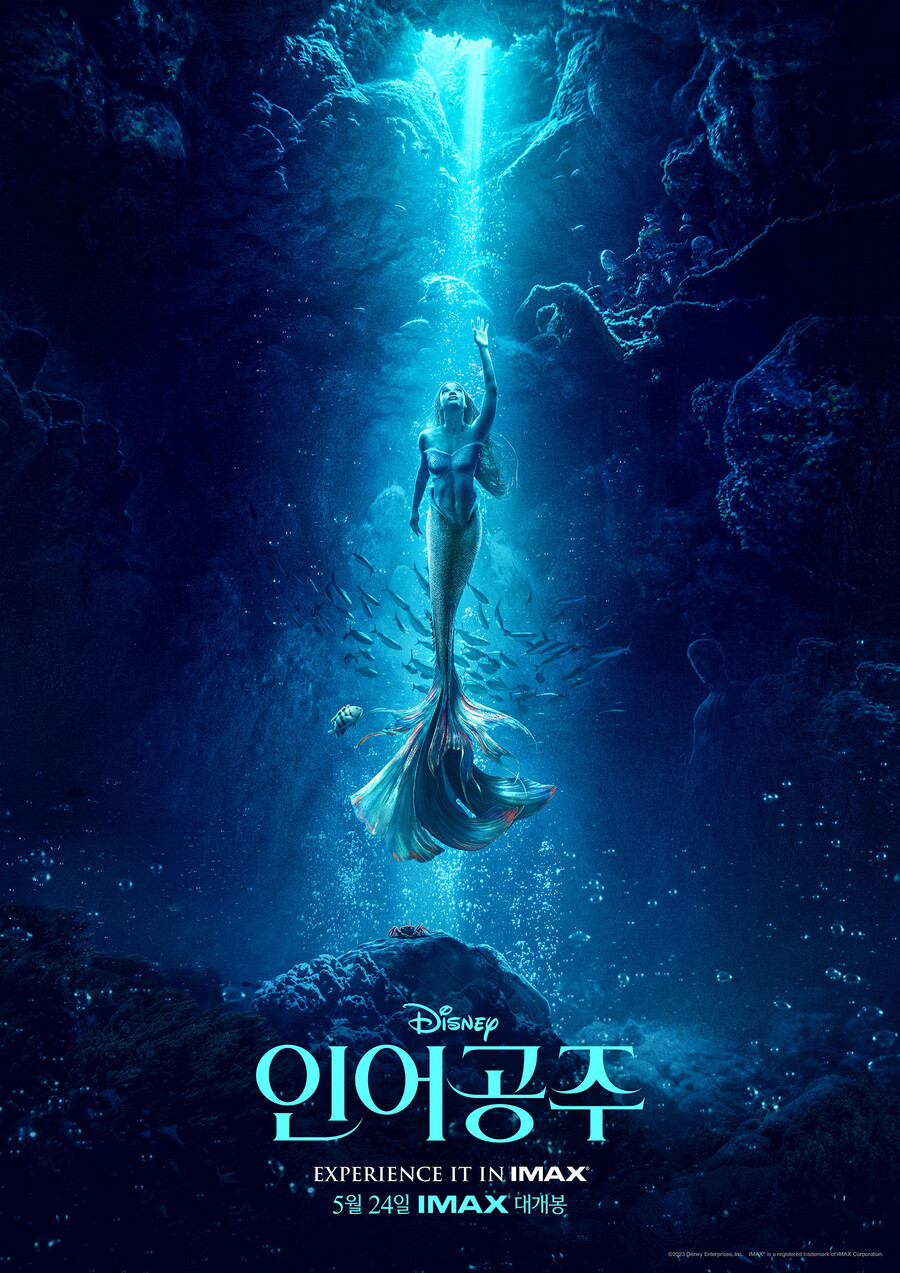 흑인 '인어공주', 베일 벗는다…5월 24일 개봉 확정[공식]