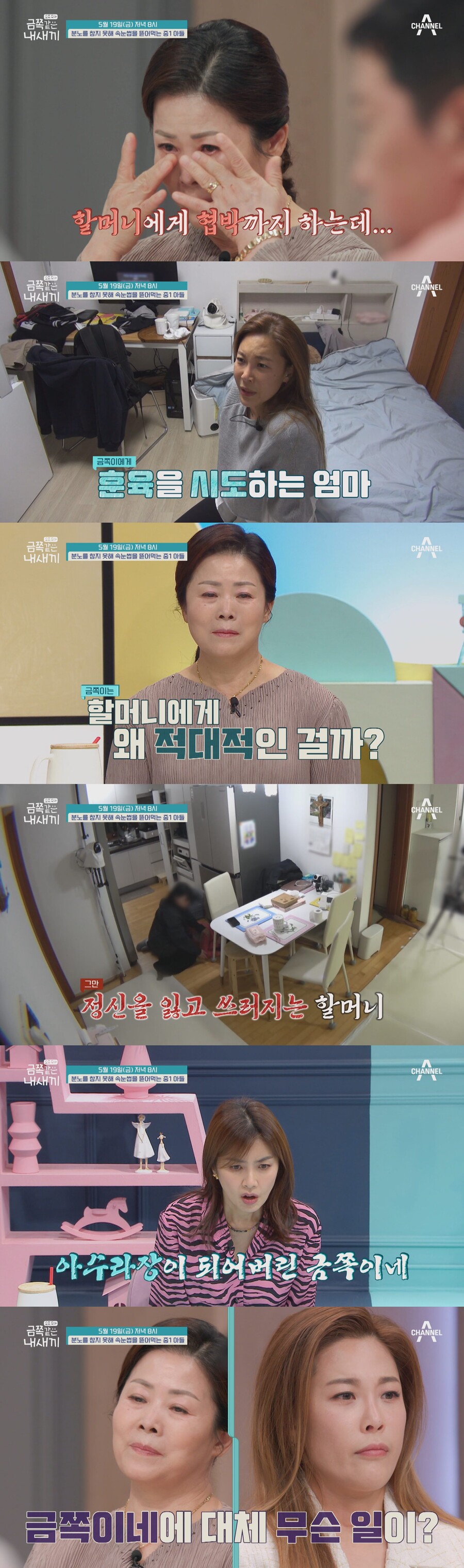 ▲ 채널A 예능 프로그램 '요즘 육아-금쪽같은 내새끼'. 제공| 채널A