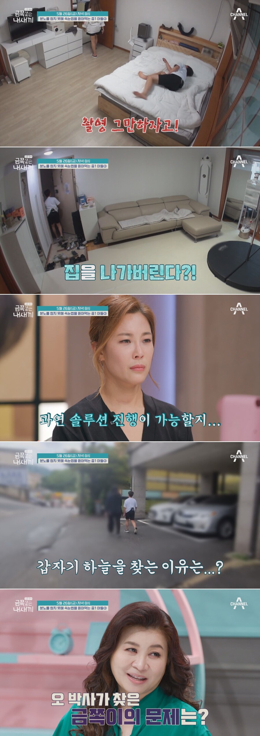 ▲ 채널A 예능 프로그램 '금쪽같은 내새끼'. 제공| 채널A
