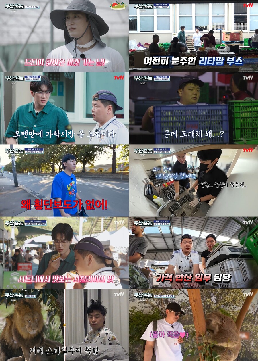 ▲ '부산촌놈'. 제공| tvN