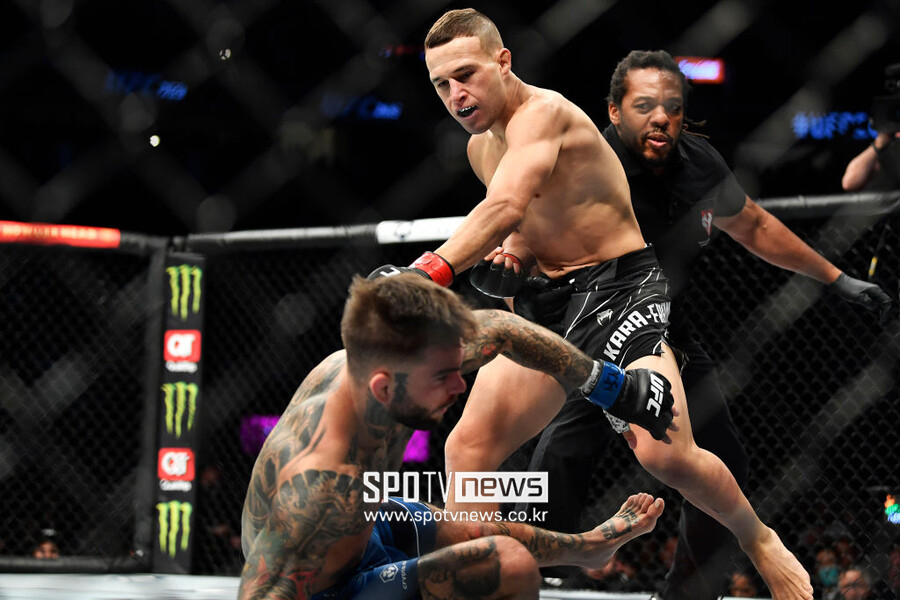 "연진아, 너의 괴롭힘 덕분에 UFC 파이터가 됐어"…학교 폭력 이겨낸 파이터들 격돌
