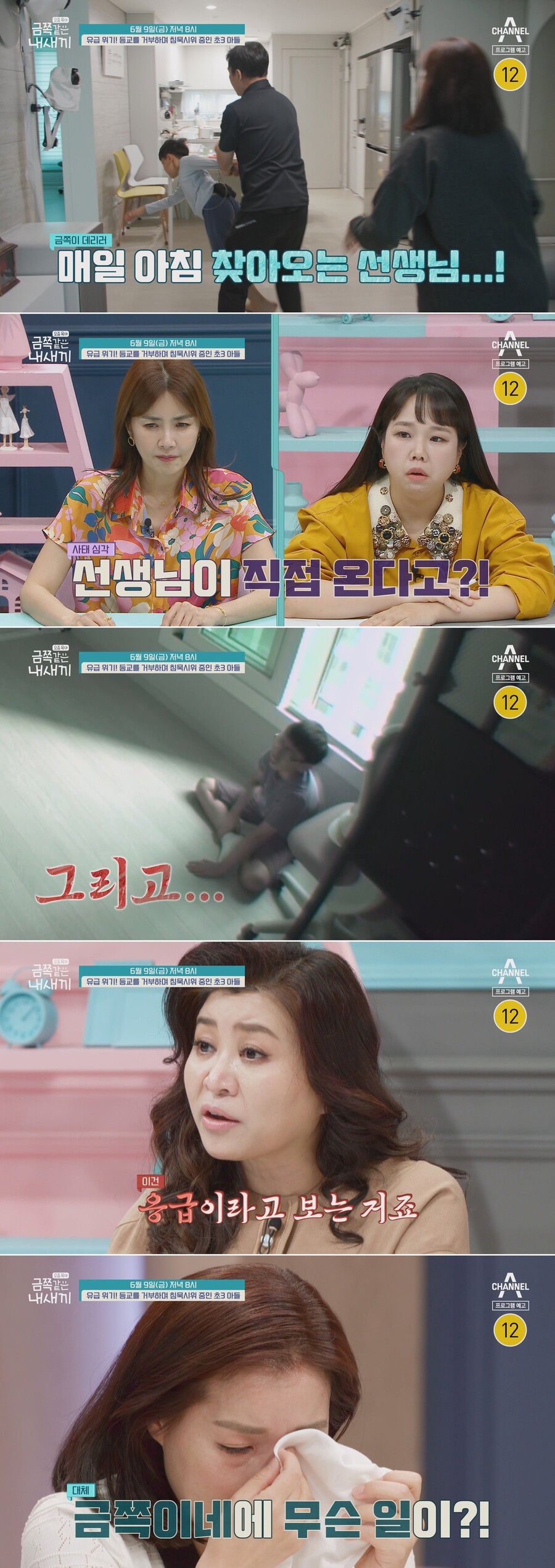 ▲ 채널A 예능 프로그램 '금쪽같은 내새끼'. 제공| 채널A