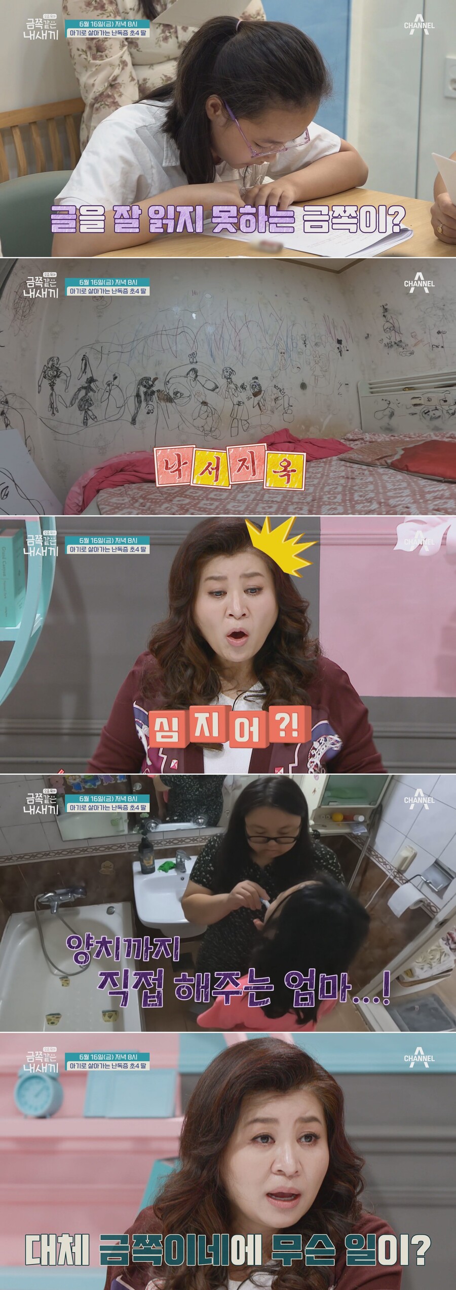 ▲ 채널A 예능 프로그램 '금쪽같은 내새끼'. 제공| 채널A