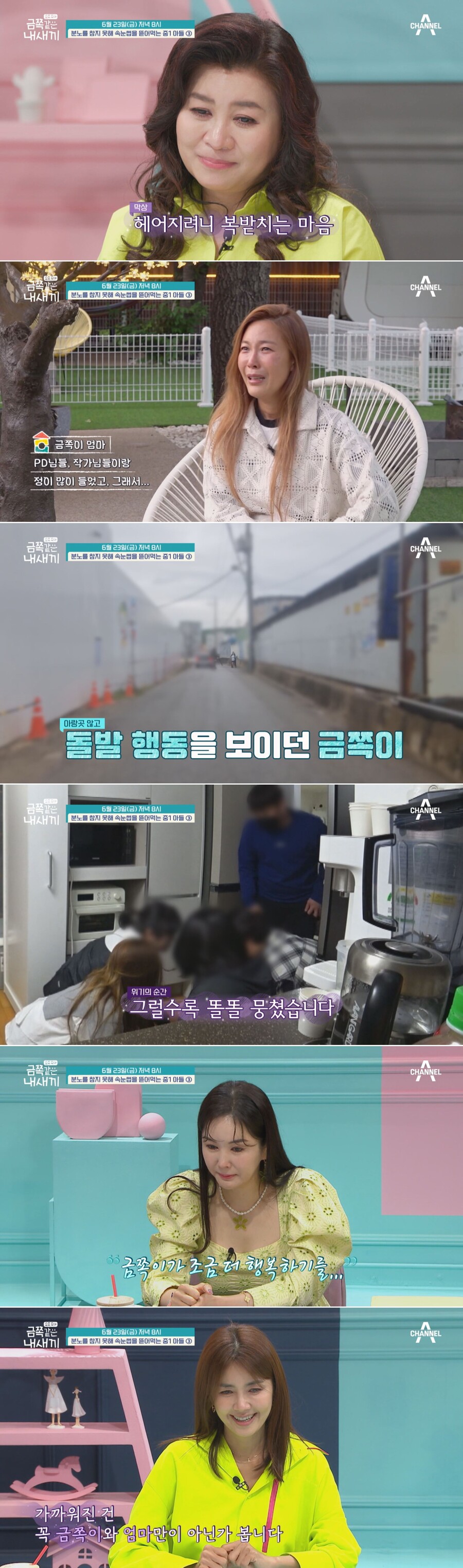 ▲ 채널A 예능 프로그램 '금쪽같은 내새끼'. 제공| 채널A