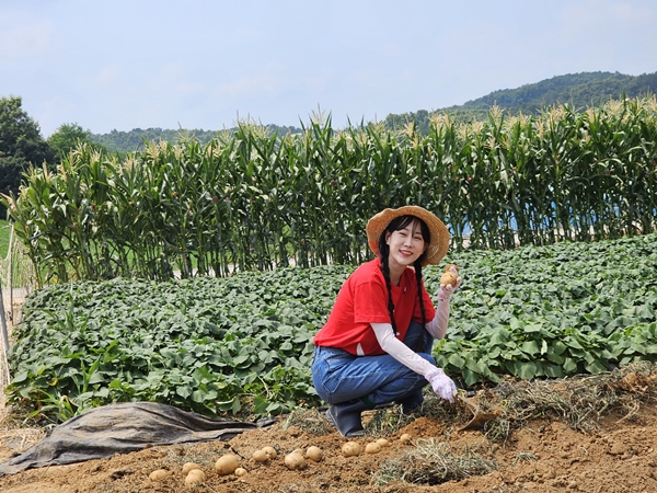 ▲ 논산 푸드뱅크에 손수 재배한 감자를 기부한 김의영이 감자를 수확하고 있다. 제공|장군엔터테인먼트