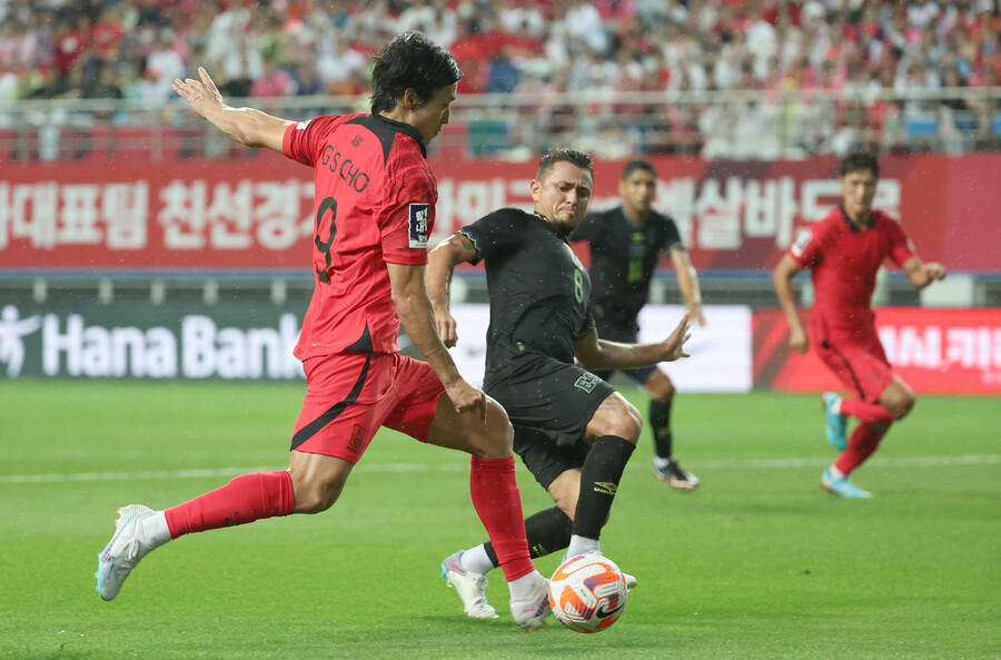 ▲ 한국 대표팀 조규성 ⓒ연합뉴스