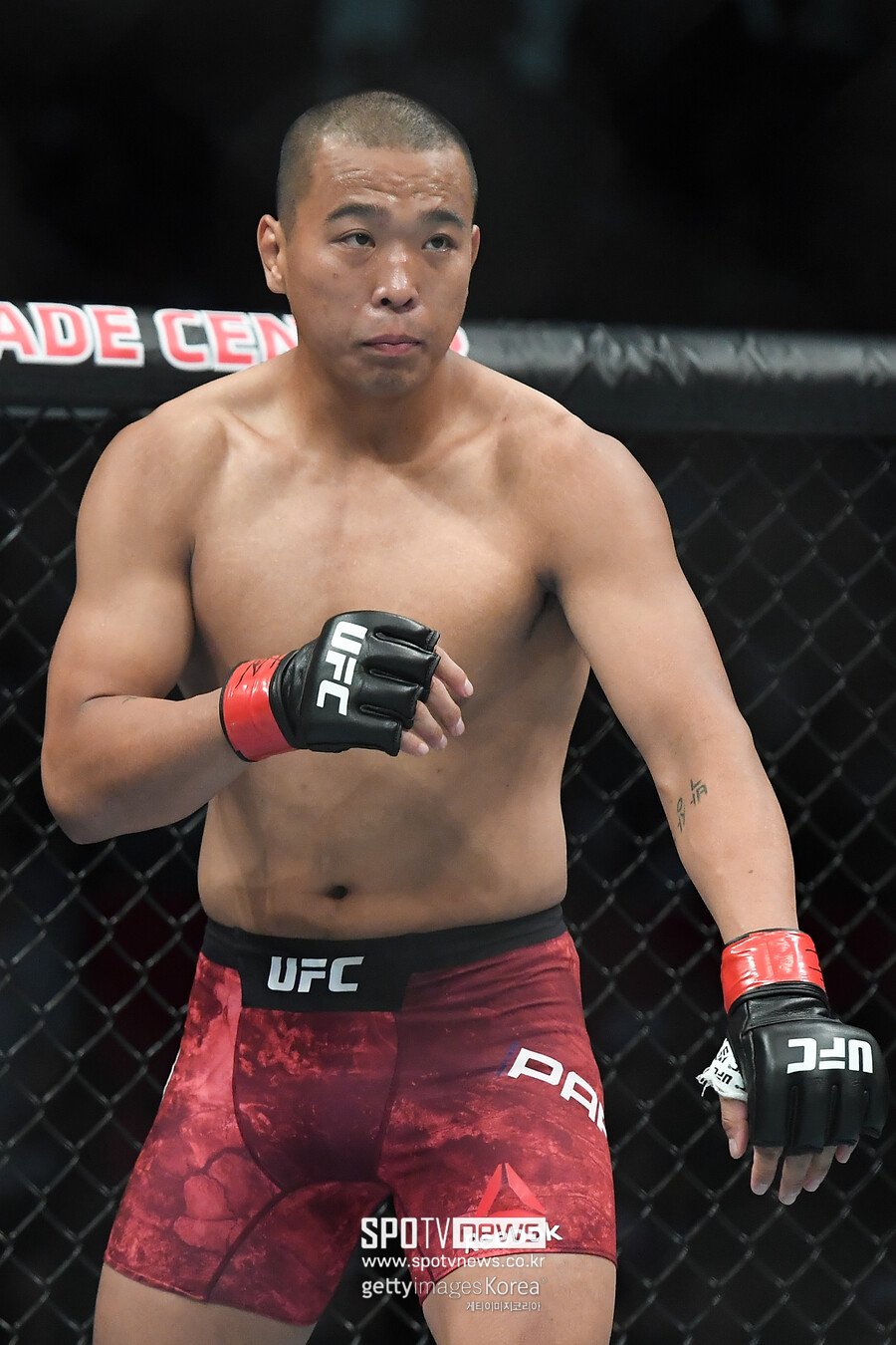 '아이언 터틀' 박준용, 선배 김동현의 UFC 최다승 타이기록에 도전