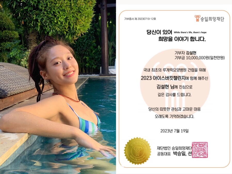 설현, 얼음물 대신 1000만원 기부로 '아이스버킷 챌린지' 동참