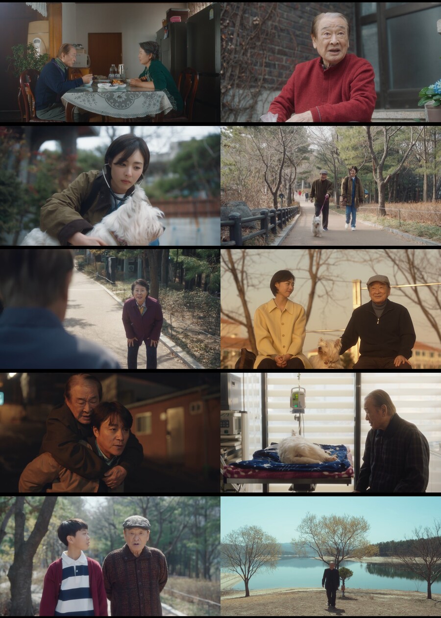  "잘가시게" '산책' 이순재, 선우용여 죽음→반려견 안락사 결정
