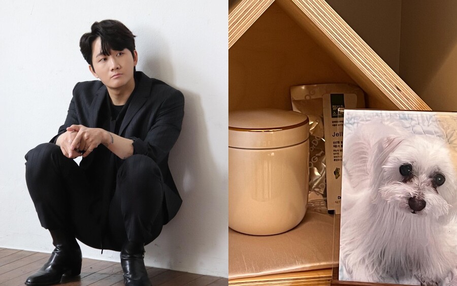 이용진, 20년 함께한 반려견 떠나보냈다 "꿈속에 나와줘"