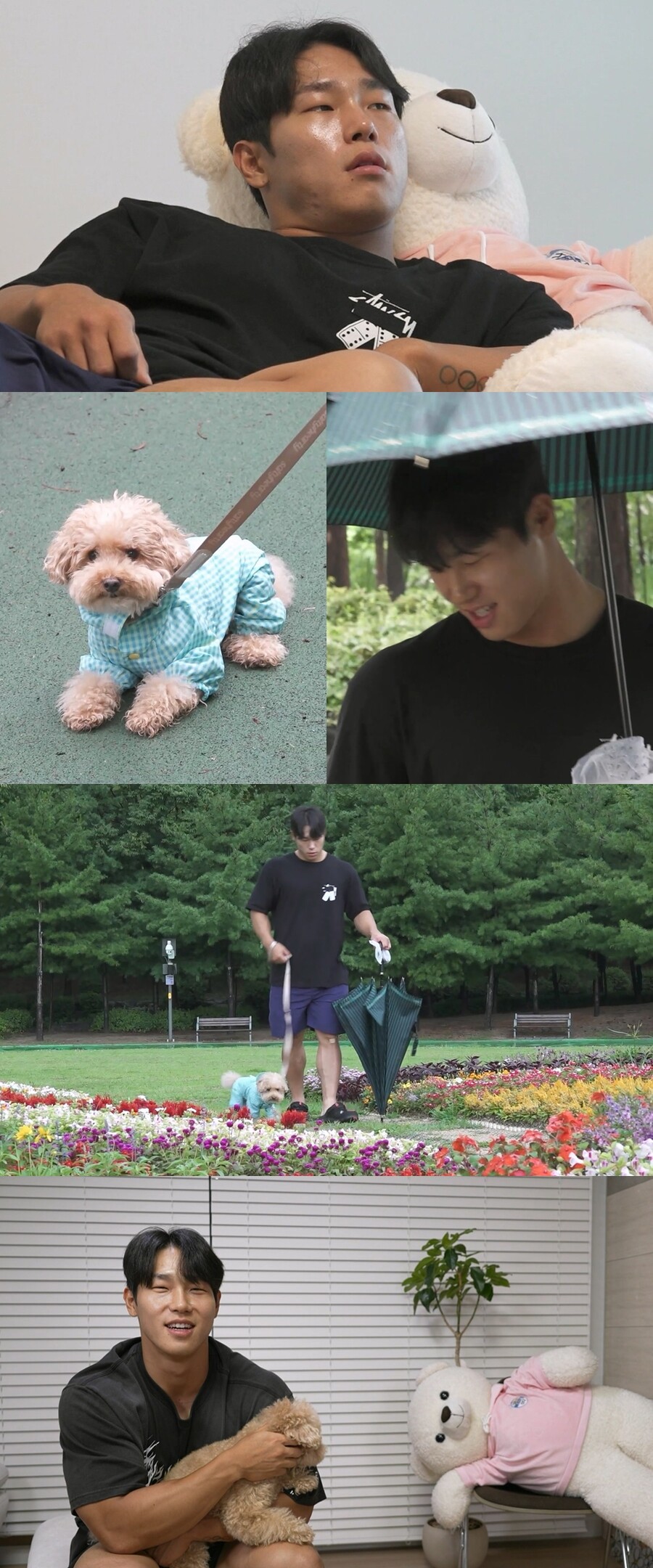 ▲ 제공|MBC '나 혼자 산다'