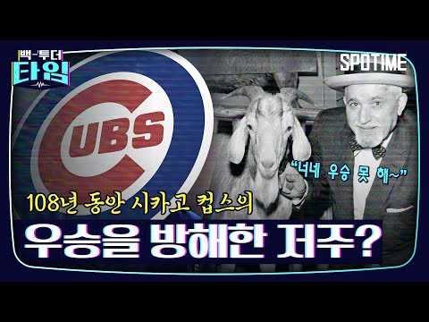 저주 때문에 우승을 못 해? 컵스를 괴롭힌 '염소의 저주' #SPOTIME