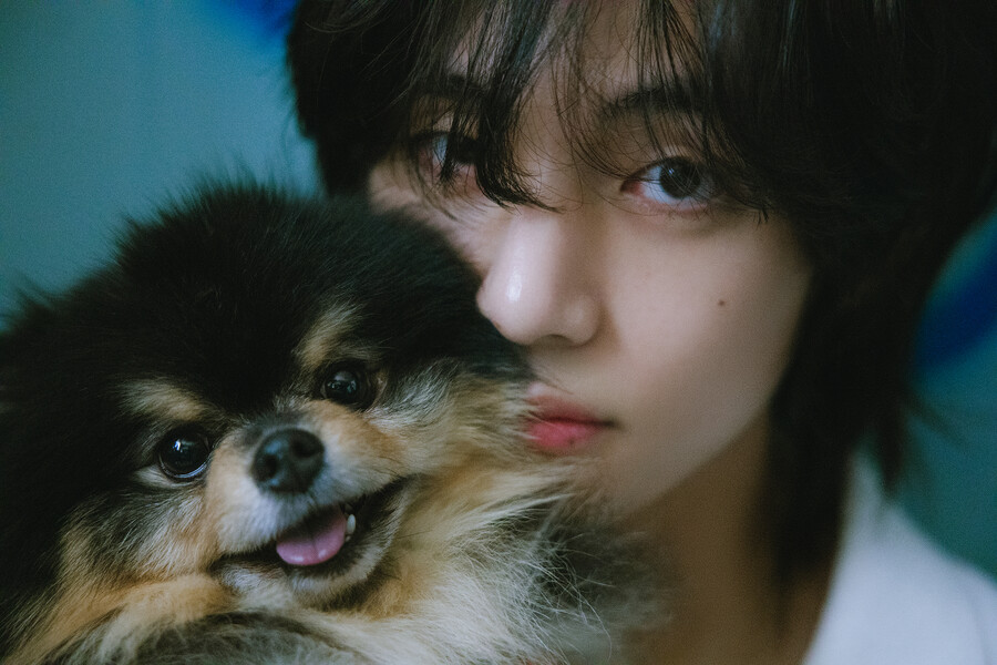▲ 방탄소년단 뷔. 제공| 빅히트 뮤직