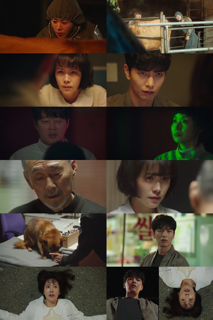 ▲ 제공|JTBC '힙하게'