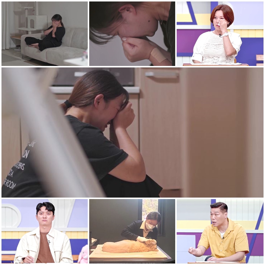 ▲ 고딩엄빠. 제공ㅣMBN