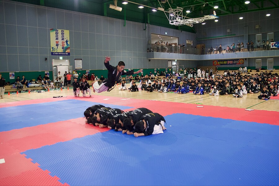 ▲ 최신 대중가요에 얹은 종합단체연무, 대여섯 살 꼬마의 쌍절곤 묘기, 엎드린 10명을 뛰어넘는 월장 낙법 등 전국 전통무예 한마당은 볼거리가 넘실댔다. ⓒ 대한합기도총협회