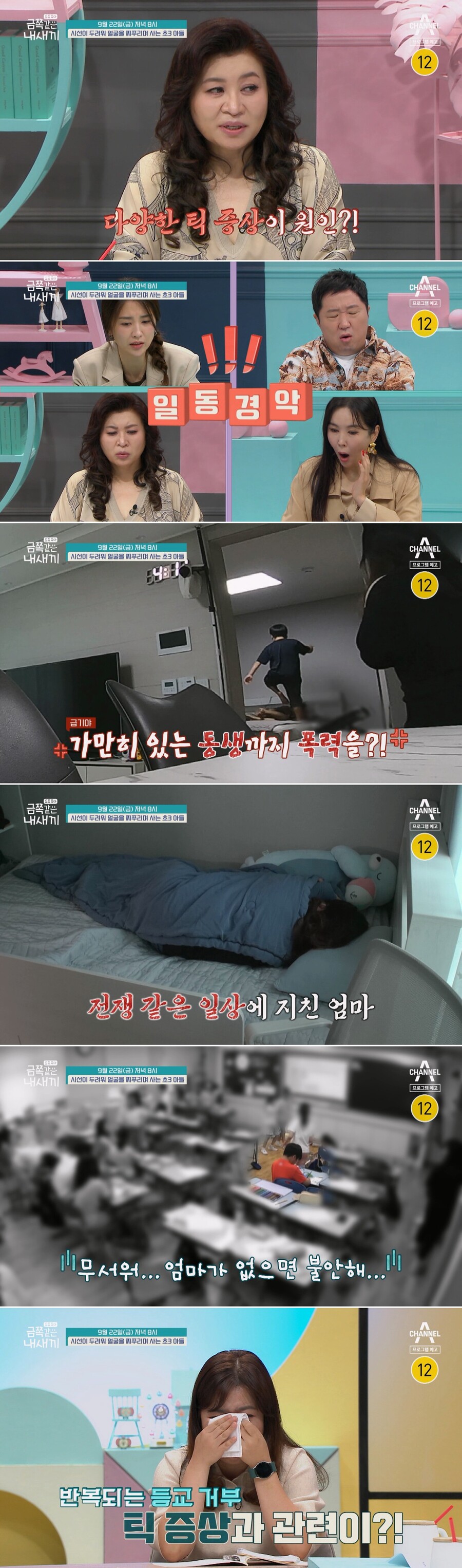 ▲ 채널A 예능 프로그램 '금쪽같은 내새끼'. 제공| 채널A