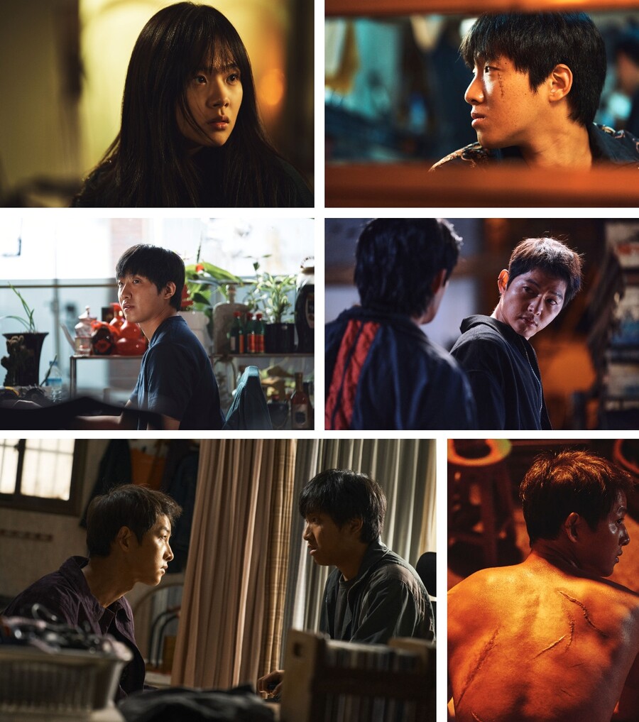 ▲ 화란 스틸. 제공ㅣ플러스엠 엔터테인먼트