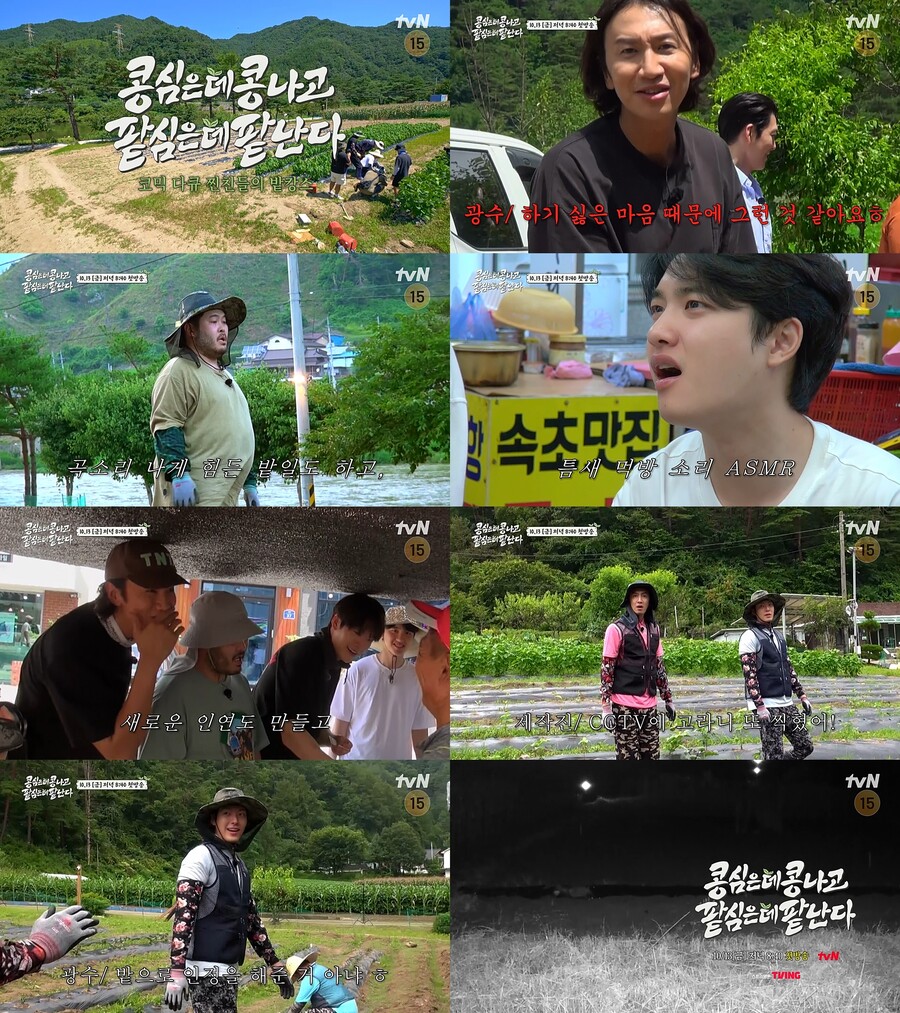 ▲ '콩콩팥팥' 포스터. 제공| tvN