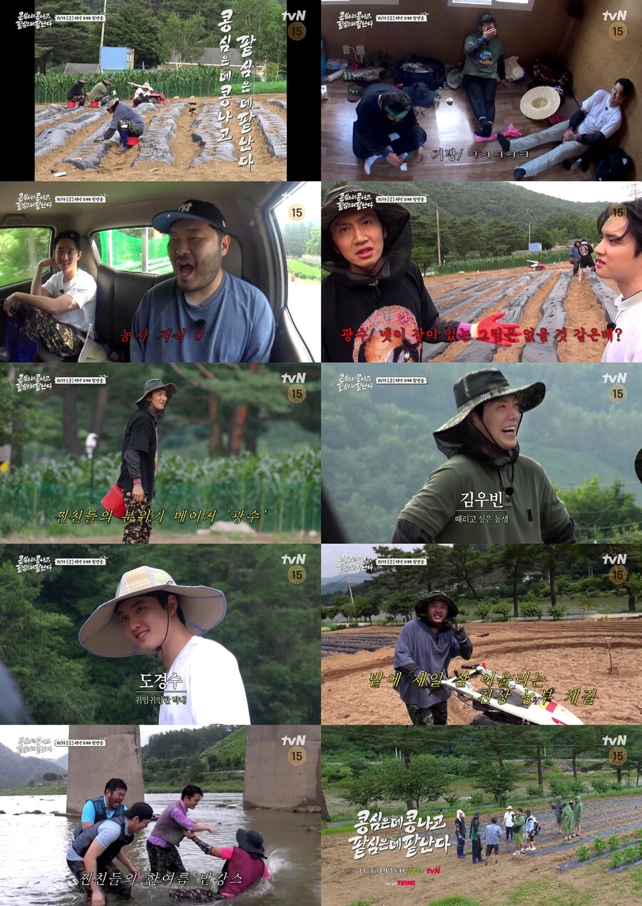 ▲ 제공|tvN '콩콩팥팥'