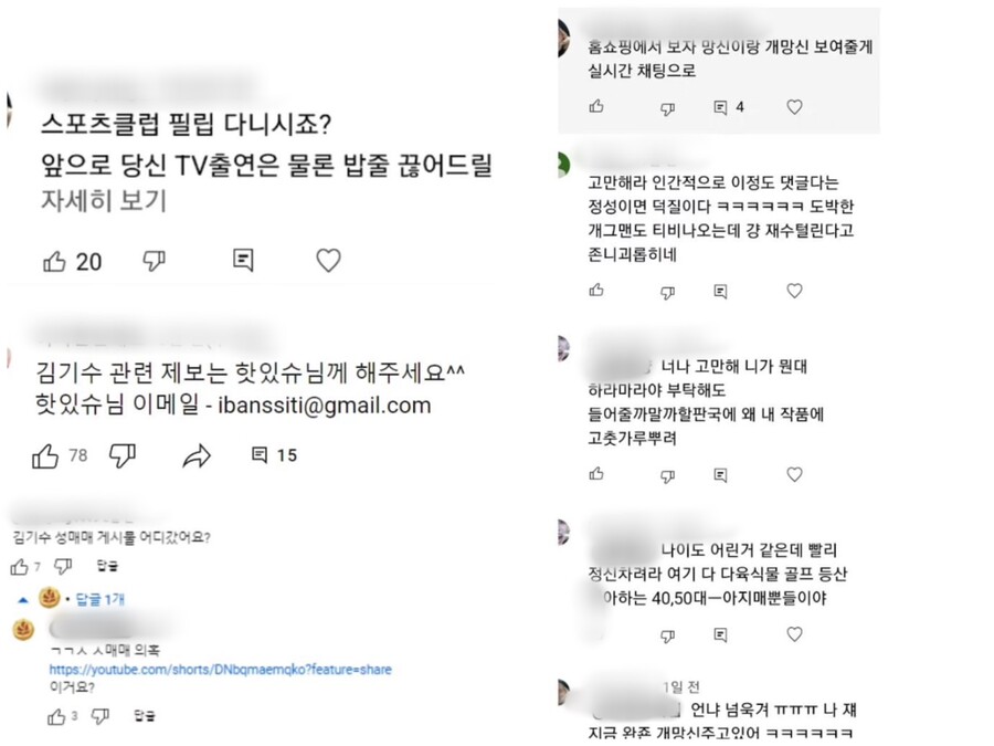 ▲ 김기수가 올린 악성 유튜브 댓글 캡처. 출처| 김기수 SNS