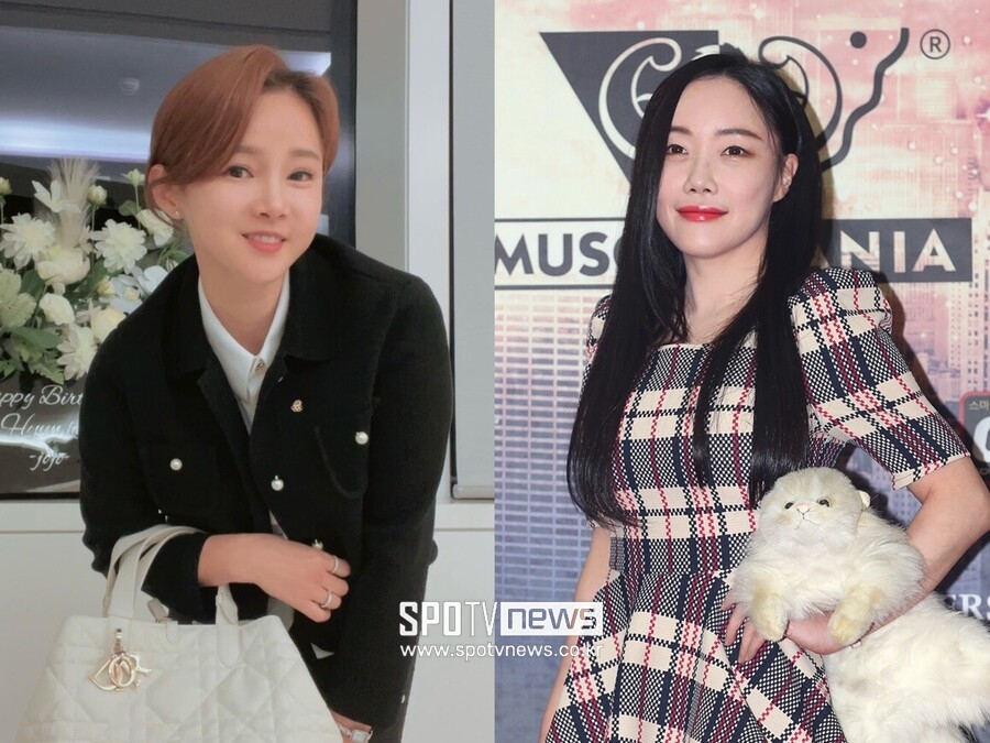 낸시랭 변호사 "전청조 수법, 왕진진 떠올라…큰 그림 있을 것"