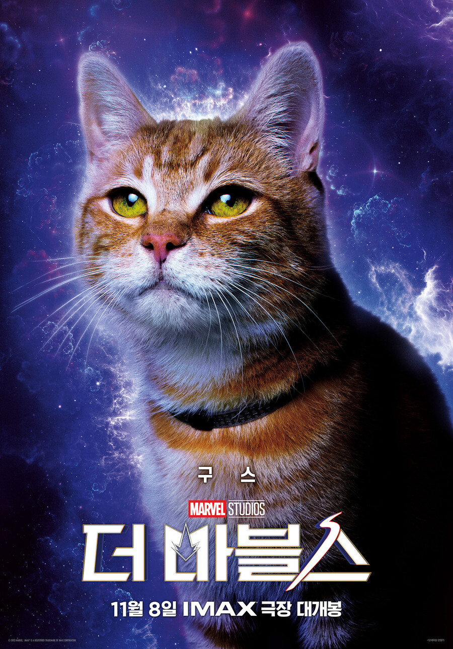 ▲ '더 마블스' 구스 이벤트. 제공|월트디즈니컴퍼니코리아