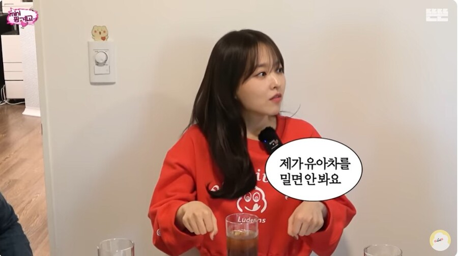 '핑계고'는 핑계고…유모차→유아차, 순화표현에 야단난 까닭[이슈S]