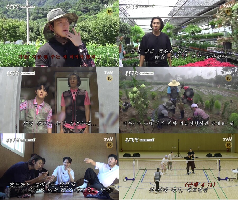 ▲ '콩콩팥팥'. 제공| tvN