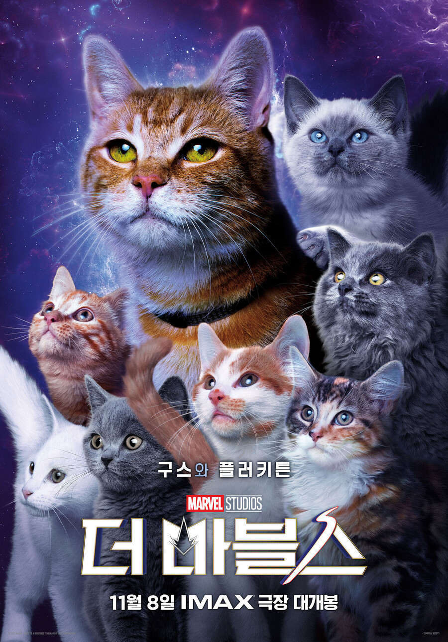 ▲ '더 마블스'. 제공|월트디즈니컴퍼니코리아