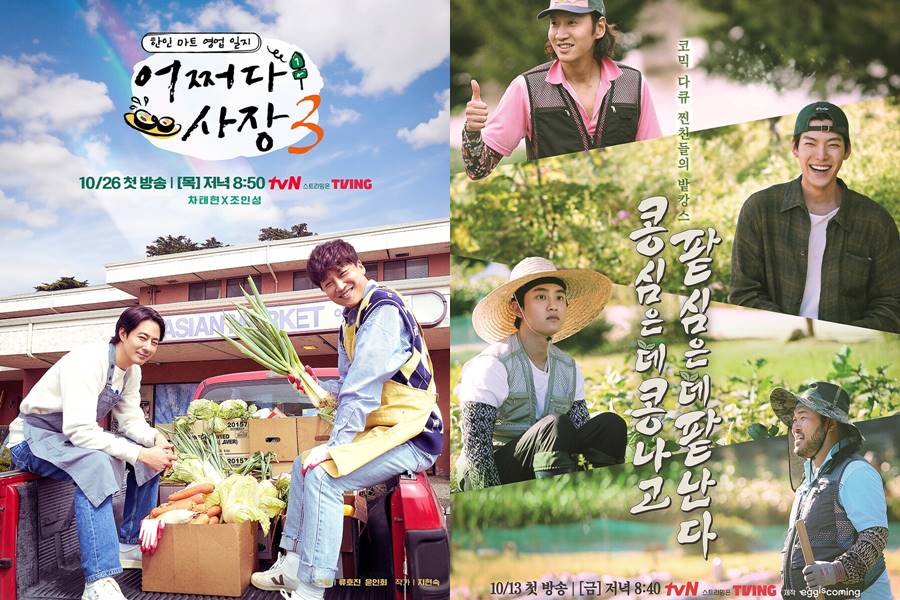 ▲ '어쩌다 사장3' 포스터(왼쪽), '콩콩팥팥' 포스터. 제공| tvN