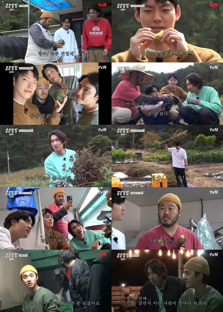 '됴리사' 도경수, 키워낸 재료로 레전드 밥상 완성…"제일 맛있어"('콩콩팥팥')