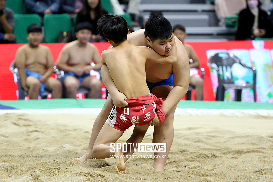 ▲ 경북씨름대축전 ⓒ곽혜미 기자