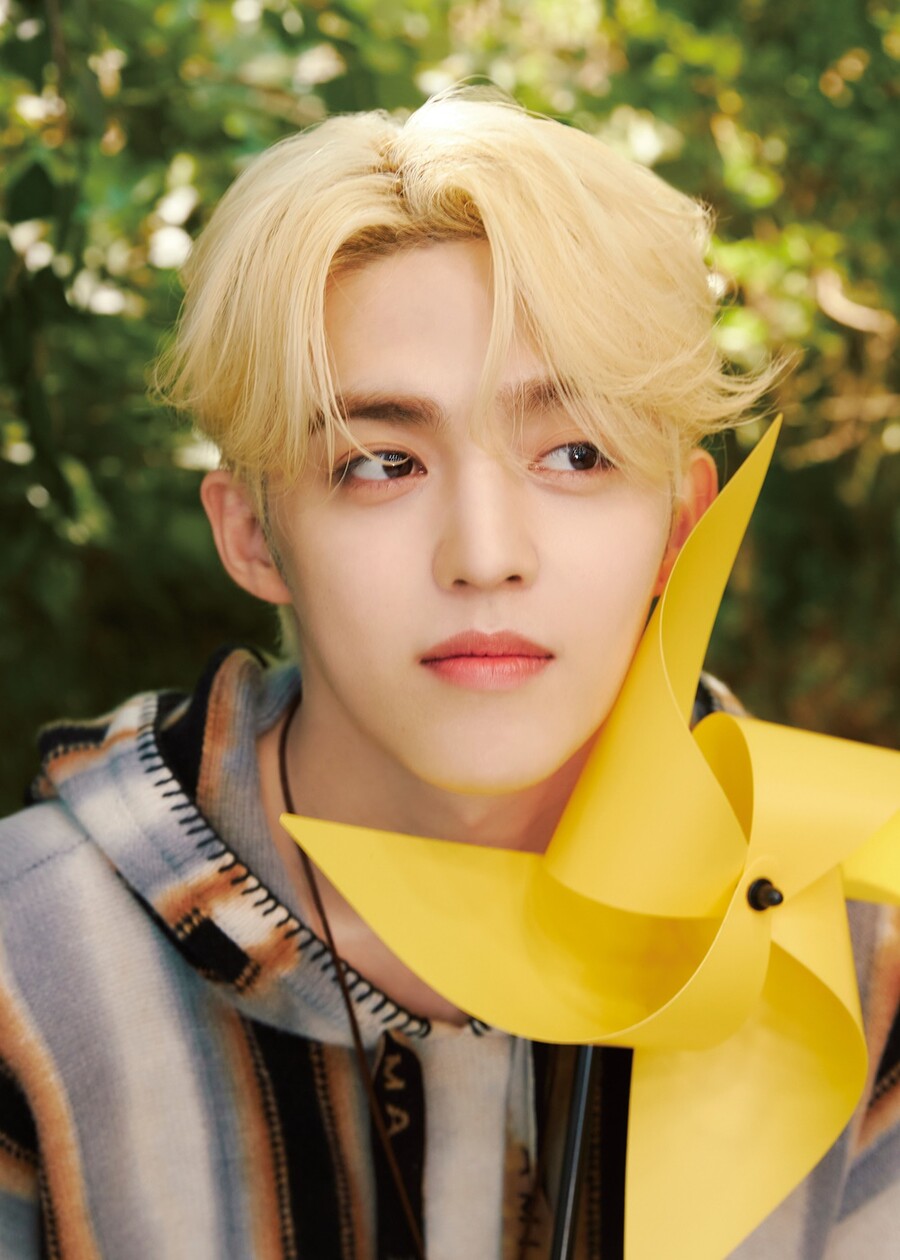 세븐틴 에스쿱스, 선한 영향력…유기동물 보호소에 5000만원 기부 