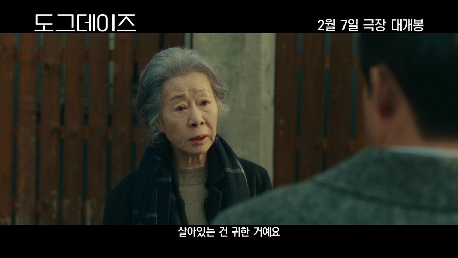 윤여정X유해진 '도그데이즈, 2월 7일 개봉 확정[공식]