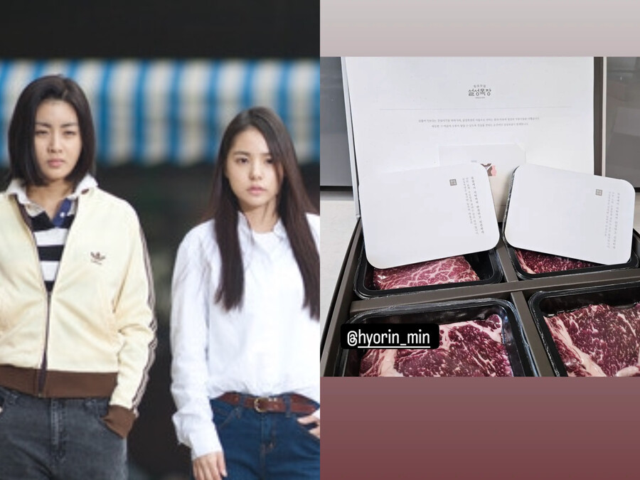 민효린, '둘째 출산' 강소라에 한우 선물…'써니' 우정 영원해