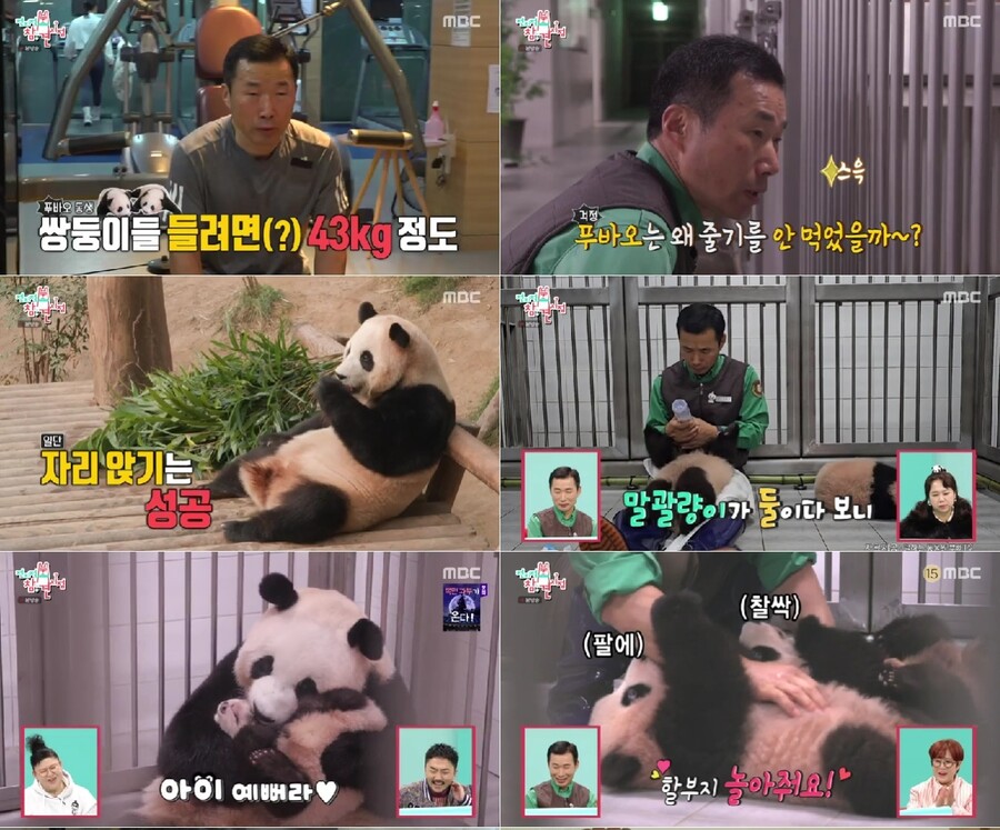 "남은 기간 할부지랑 추억 많이"…푸바오 보내는 강철원 사육사의 진심('전참시')