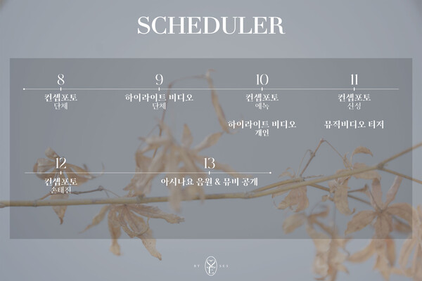 ▲ 불타는 신에손 새 앨범 '아시나요' 스케줄러. 제공|뉴에라프로젝트