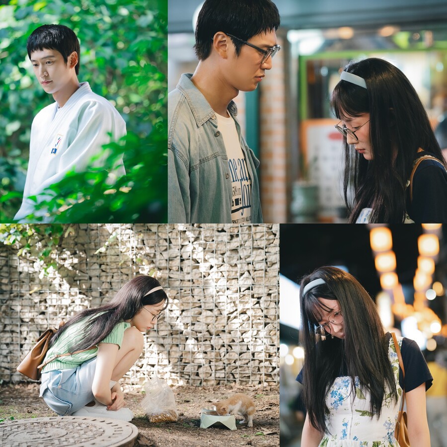 ▲ 제공|tvN '내 남편과 결혼해줘'