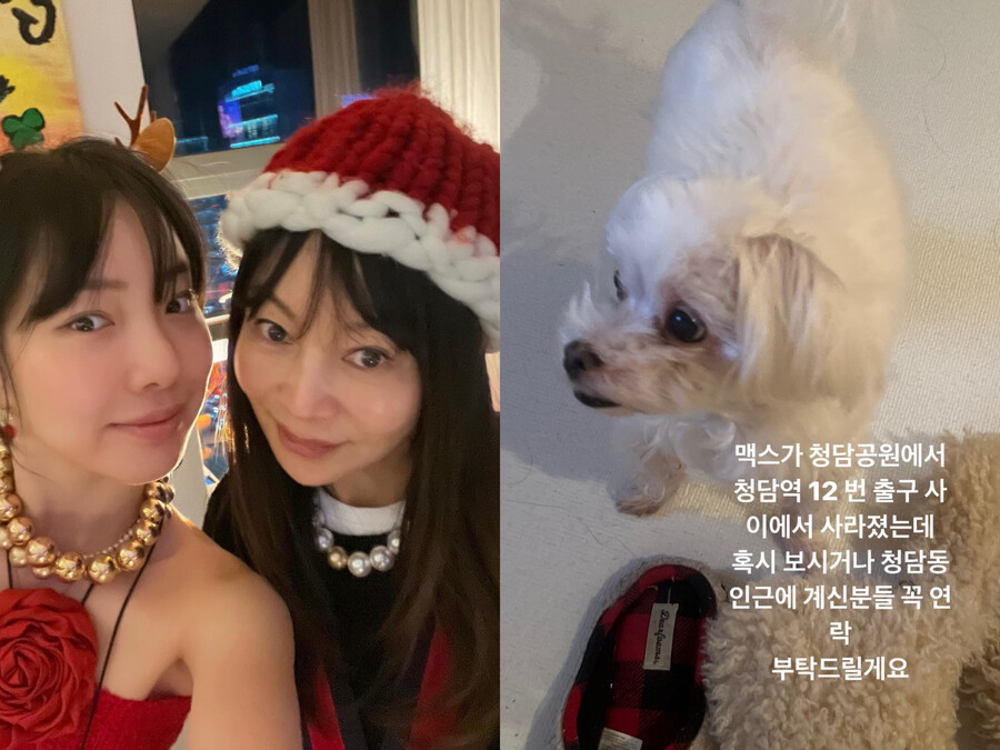 ▲ 출처| 황신혜, 이진이 인스타그램