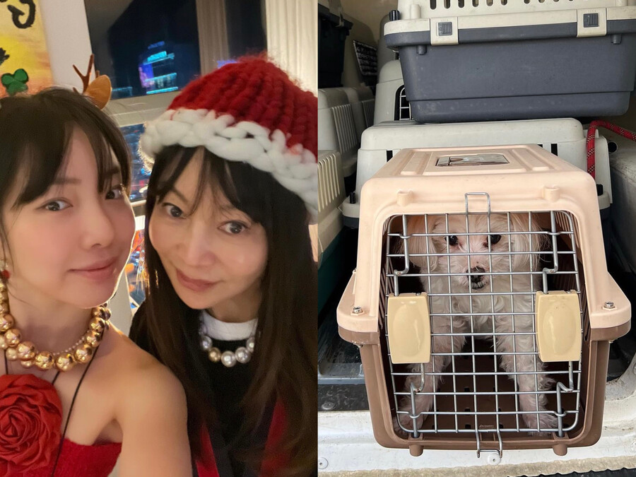 ▲ 출처| 황신혜, 이진이 SNS