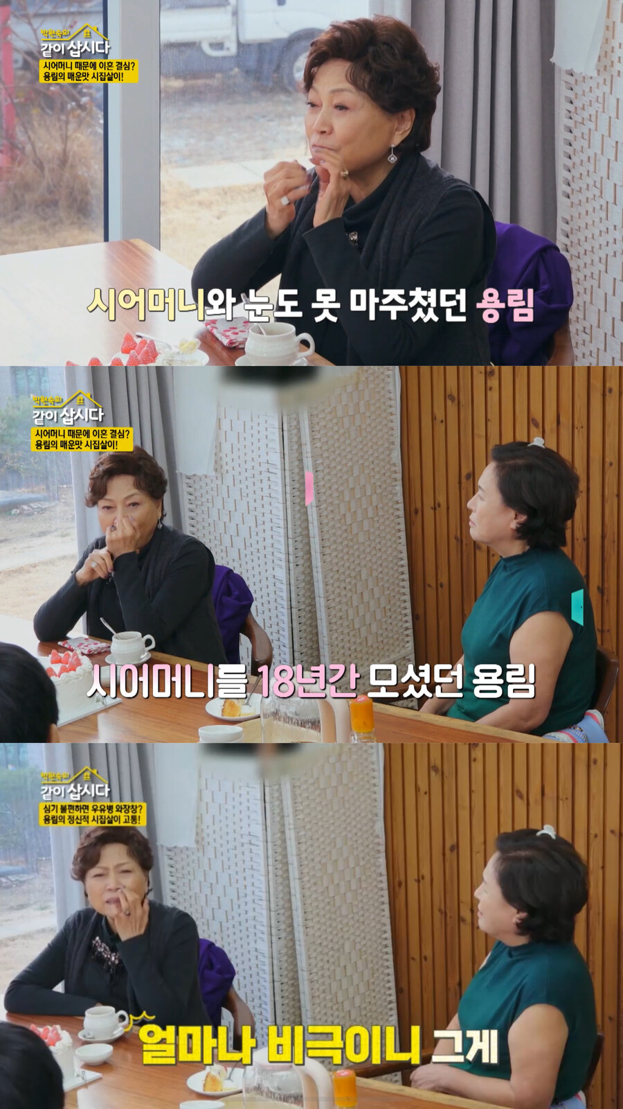 김용림 "♥남일우에 이혼통보…정신적 시집살이 비극"('같이삽시다')